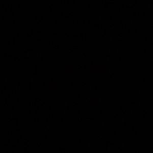 Meet your Posher, Ash